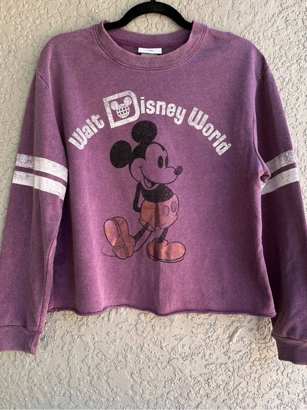 Walt Disney World Mickey Mouse Purple Crewneck Sweater Crop Top